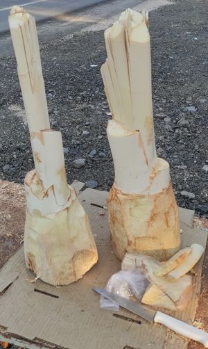 대추야자의 심장 아브 파흐시 (부셰르 주, 이란)