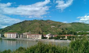 에르미타주 언덕의 포도밭. 시라 품종이 주로 재배된다.