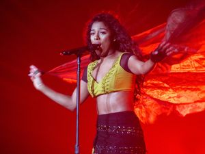 2017년 머넷 공연 모습