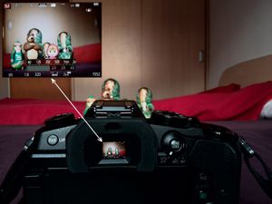 파나소닉 루믹스 DMC-G80의 236만 도트 OLED 전자식 뷰파인더