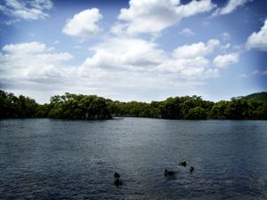 비네팅은 디지털 이미징 소프트웨어를 사용하여 촬영 후 단계에서 적용할 수 있다.