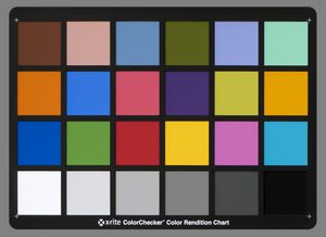 색상 균형 조정을 위한 참고 사진으로 사용된 컬러체커.