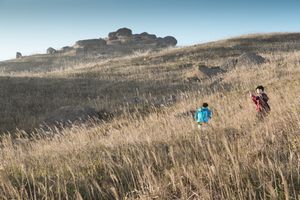 11월부터 1월까지 선셋 피크의 억새는 많은 사람들을 불러 모은다.