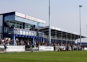 해리 파커 스탠드