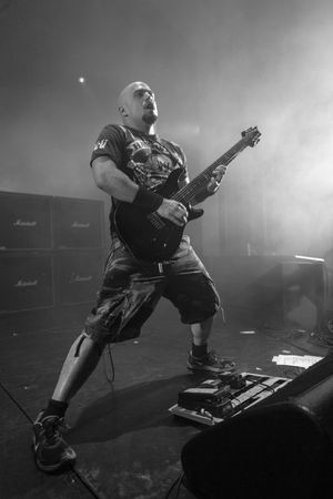 2015년의 마크 리조