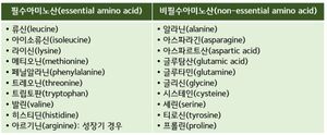 필수 아미노산의 목록