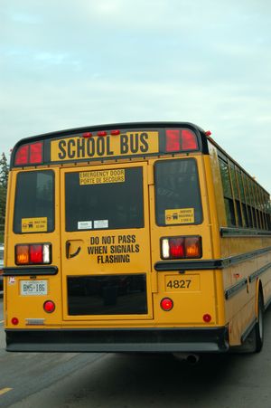 모두 빨간색 8개의 램프 경고등 시스템을 갖춘 온타리오 스쿨 버스.