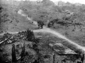 열대림을 개간하는 것은 수익률을 떨어뜨렸다. 그러나 이미 개간된 넓은 부지가 있었다. 위는 콩고의 농촌 마을(에콰테르 주)이 고무 농장을 만들기 위해 비워지고 평탄화된 모습이다.