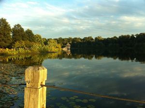 아테미시아 호수는 WMATA가 그린 라인을 건설하기 위해 이 지역에서 모래와 자갈을 채취하면서 만들어졌다.