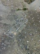 사원 A: 타니트 상징의 모자이크