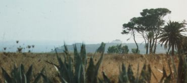 동쪽 언덕에서 바라본 셀리눈테의 아크로폴리스