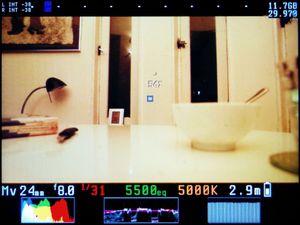 매직 랜턴이 5D Mark II의 라이브 뷰 화면에 겹쳐져 표시됨