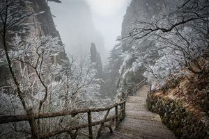 황산의 얼음 덮인 나무들