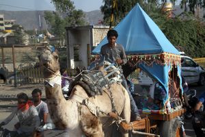 라자스탄에서 코치를 끄는 낙타