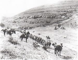 제1차 세계 대전 중 요르단 강 제1차 전투 당시, 알-솔트 마을 근처의 오스만 포로