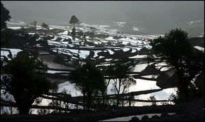 위안양현의 계단식 논밭