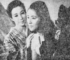 사양의 그림자 (1967년)