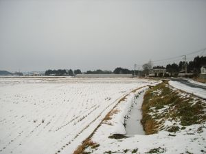 겨울(2005년 12월)의 벼농사 및 관개수로