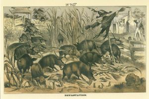 The Wasp의 반중국 만화: 돼지로 묘사된 중국 이민자들이 "벌링게임 조약"이라고 적힌 문을 부수고 농작물을 파괴하며 산업을 나타내는 반면, 엉클 샘과 콜럼비아가 지켜보고 있다. 해진 허수아비는 반중국 노동 지도자 데니스 케어니를 나타낸다.