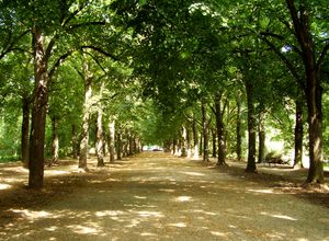 엘리자베스 공원