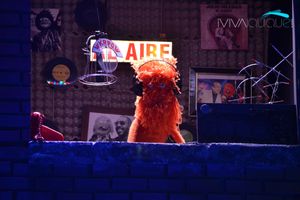 라디오 과리폴로 투어의 한 장면.