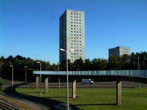 스튜어트 하우스로 가는 스네이크 브리지(및 그림자)