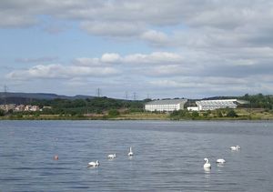 브로드우드 로크