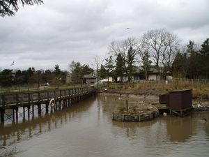 팰러세릭 컨트리 공원