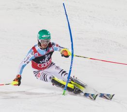 2015년의 노이로이터