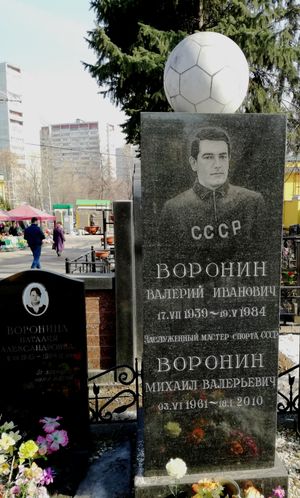 발레리 보로닌의 묘, 다닐로프 묘지