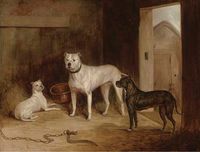 19세기 경 불독과 두 마리의 불 테리어