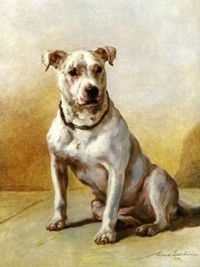 1909년 경, 모드 얼의 불 테리어