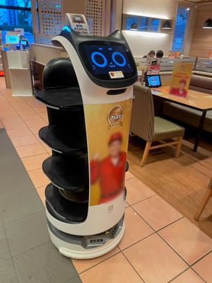 가스트에서 사용되는 고양이형 배선 로봇 "BellaBot"