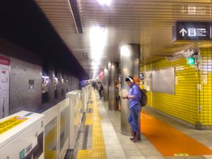 2018년 덴엔토시선 승강장