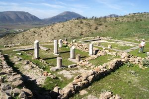 두 개의 주랑이 있는 집