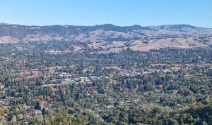 라스 트람파스 지역 야생 보호 구역에서 촬영한 댄빌. 배경에 마운트 디아블로의 산기슭이 보인다.