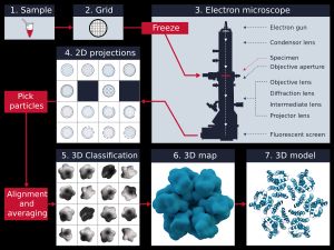 단일 입자 분석 작업 흐름