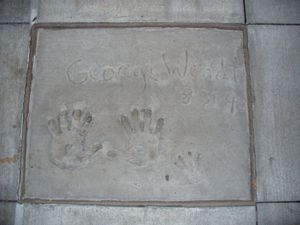 월트 디즈니 월드 리조트의 디즈니 할리우드 스튜디오 테마파크에 있는 할리우드 힐스 원형 극장 앞에 있는 웬트의 콘크리트 손자국