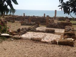 레알몬테의 로마 빌라