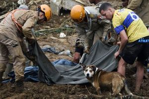 구조 작업을 펼치는 응급 구조대원들