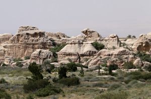 다나 생물권 보전구역