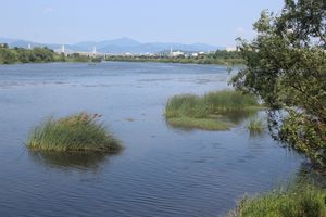 금호강은 칠곡지구와 대구 본도심을 가로지르는 자연적인 경계이다. 사진에 나와 있는 다리는 매천대교로, 칠곡지구와 대구 도심을 연결하는 주요 교량 중 하나이다.