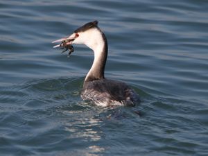 일본 아이치현 나고야