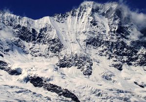 피 빙하 위의 동면