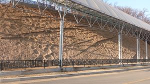 의성 제오리 공룡발자국화석 산지에 드러난 공룡 발자국 화석과 경상 누층군 하양층군 사곡층의 모습이다. 지층은 금성산을 향해 40도 이상 기울어 있다.