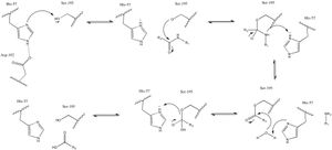 아크로신 촉매 메커니즘
