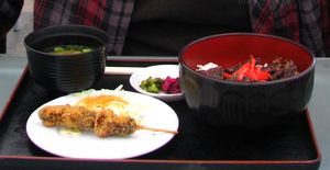 짧은 지느러미 들쇠고래 고래고기를 사용한 일본식 식사. 튀긴 고래고기 꼬치(왼쪽)와 밥 위에 구운 고기가 올려져 있고 생강 절임이 곁들여진 그릇(오른쪽)이 포함되어 있다.