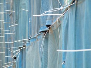 싱가포르 건설 현장에서 케이블 타이를 사용하여 비계에 차광막을 부착