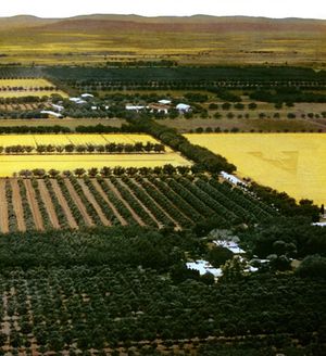 앨범 초반 세션은 텍사스 소닉 랜치에서 진행되었다.