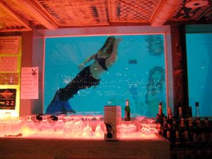 그레이트 폴스에 있는 십 앤 딥 라운지 수영장에서 인어 복장을 하고 수영하는 사람들